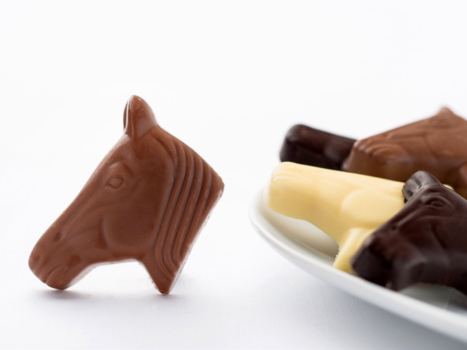 Champagne Horses Heads