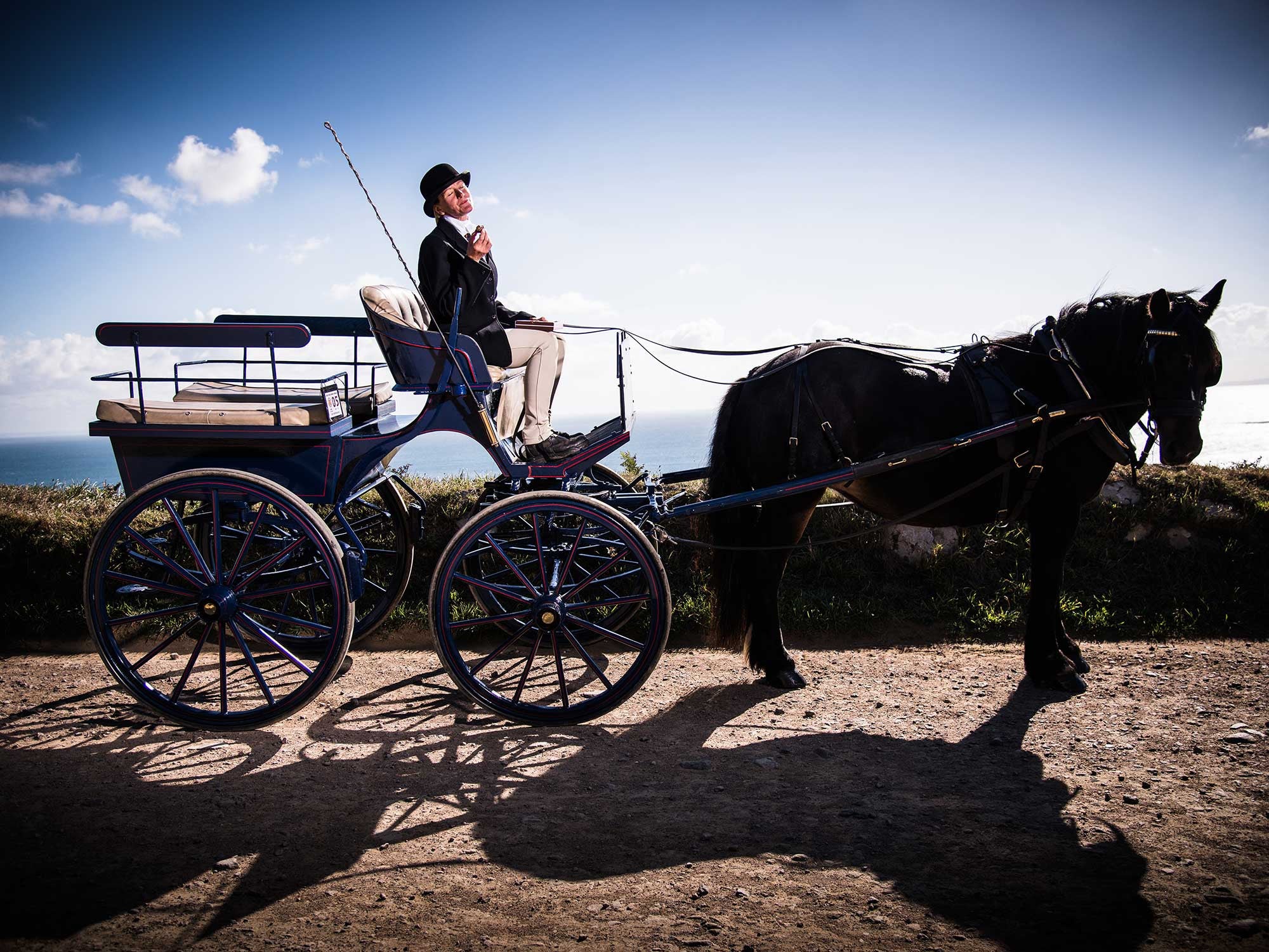 Medium Carriage Collection