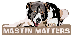 Mastin Matters Charity Bars
