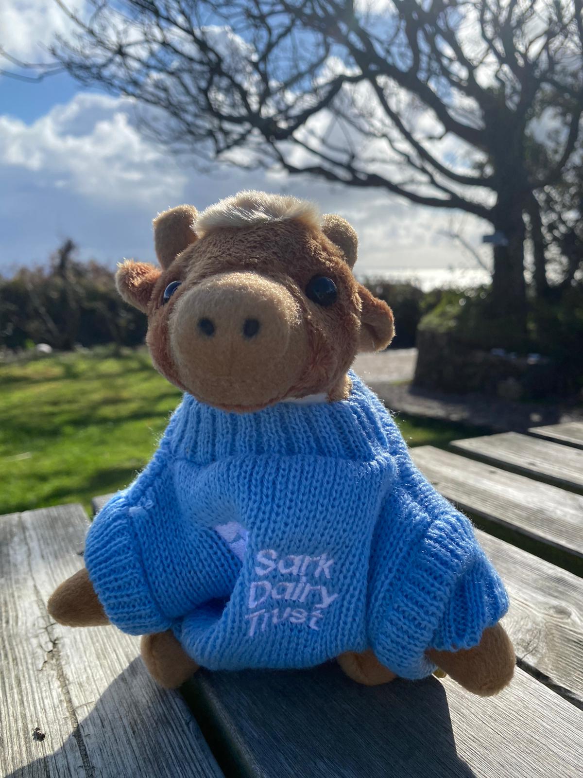 Sark Dairy Trust Cow with Jumper