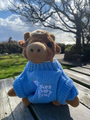 Sark Dairy Trust Cow with Jumper